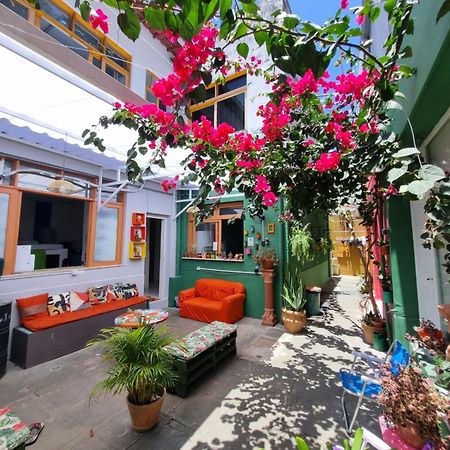 Nomads Hostel Multicultural & Coworking 萨尔瓦多 外观 照片