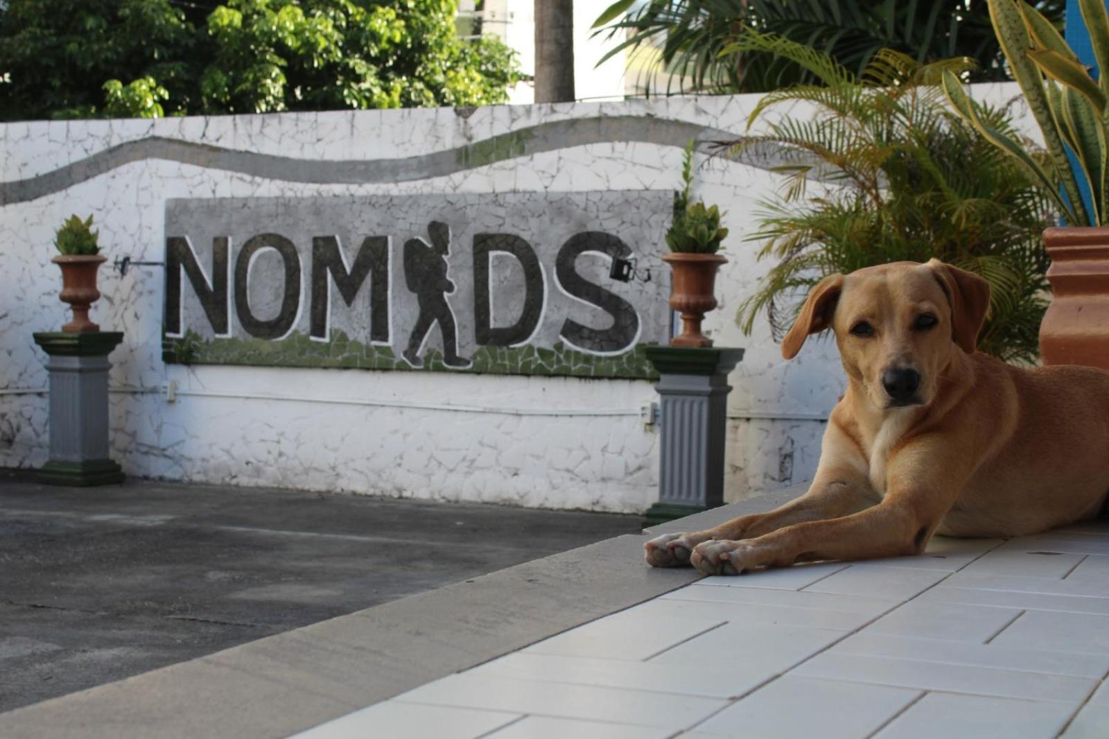 Nomads Hostel Multicultural & Coworking 萨尔瓦多 外观 照片