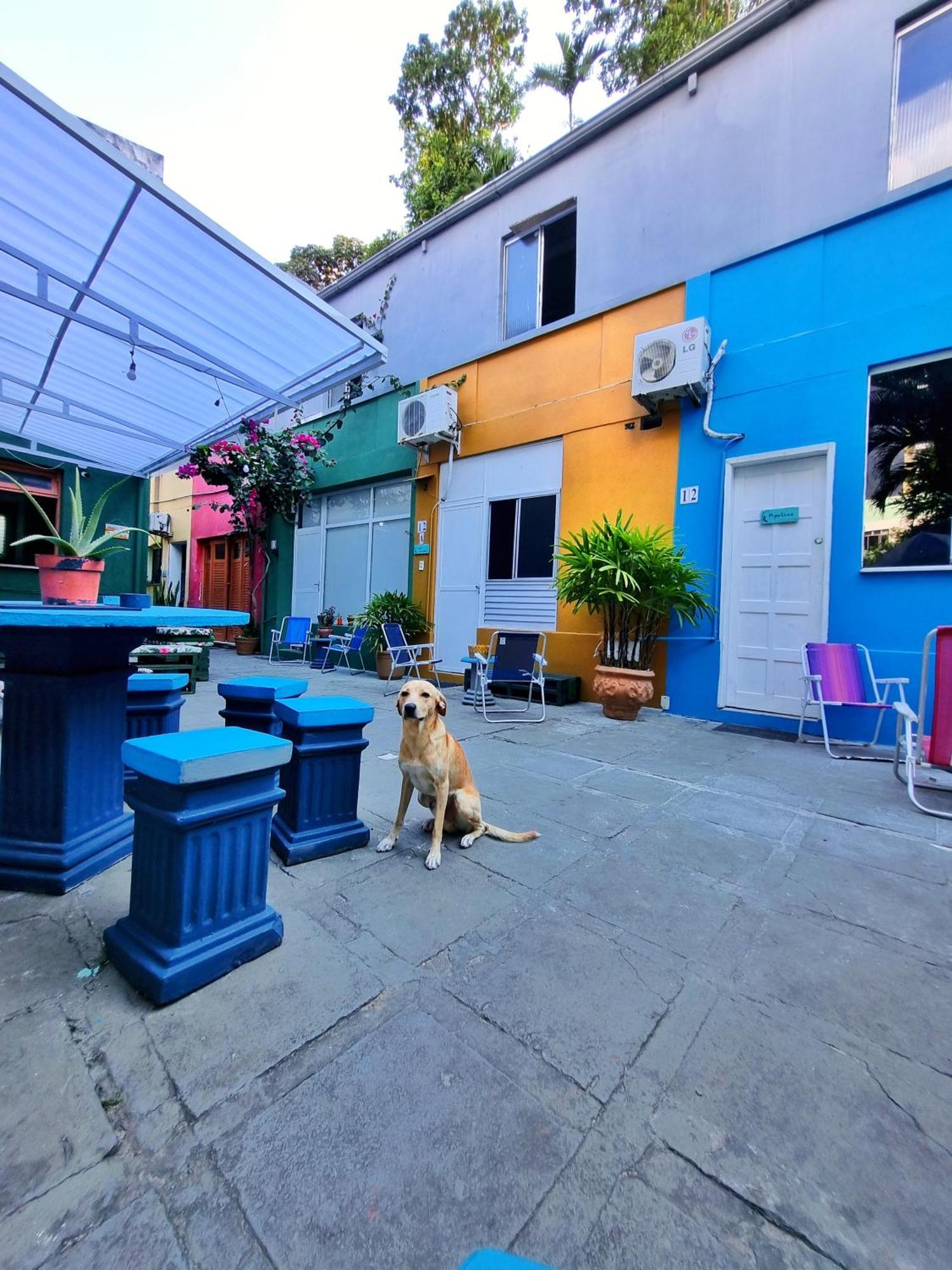 Nomads Hostel Multicultural & Coworking 萨尔瓦多 外观 照片