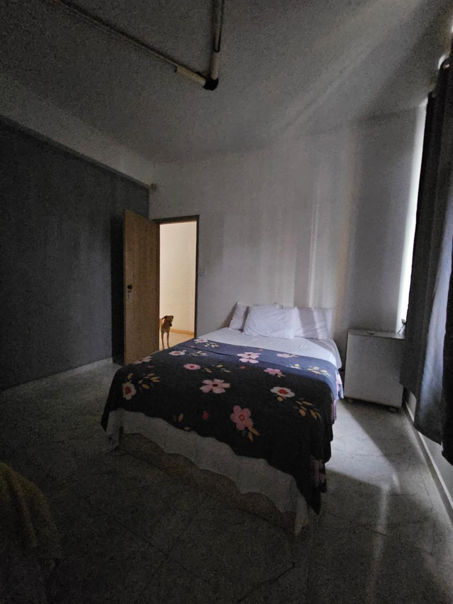 Nomads Hostel Multicultural & Coworking 萨尔瓦多 外观 照片