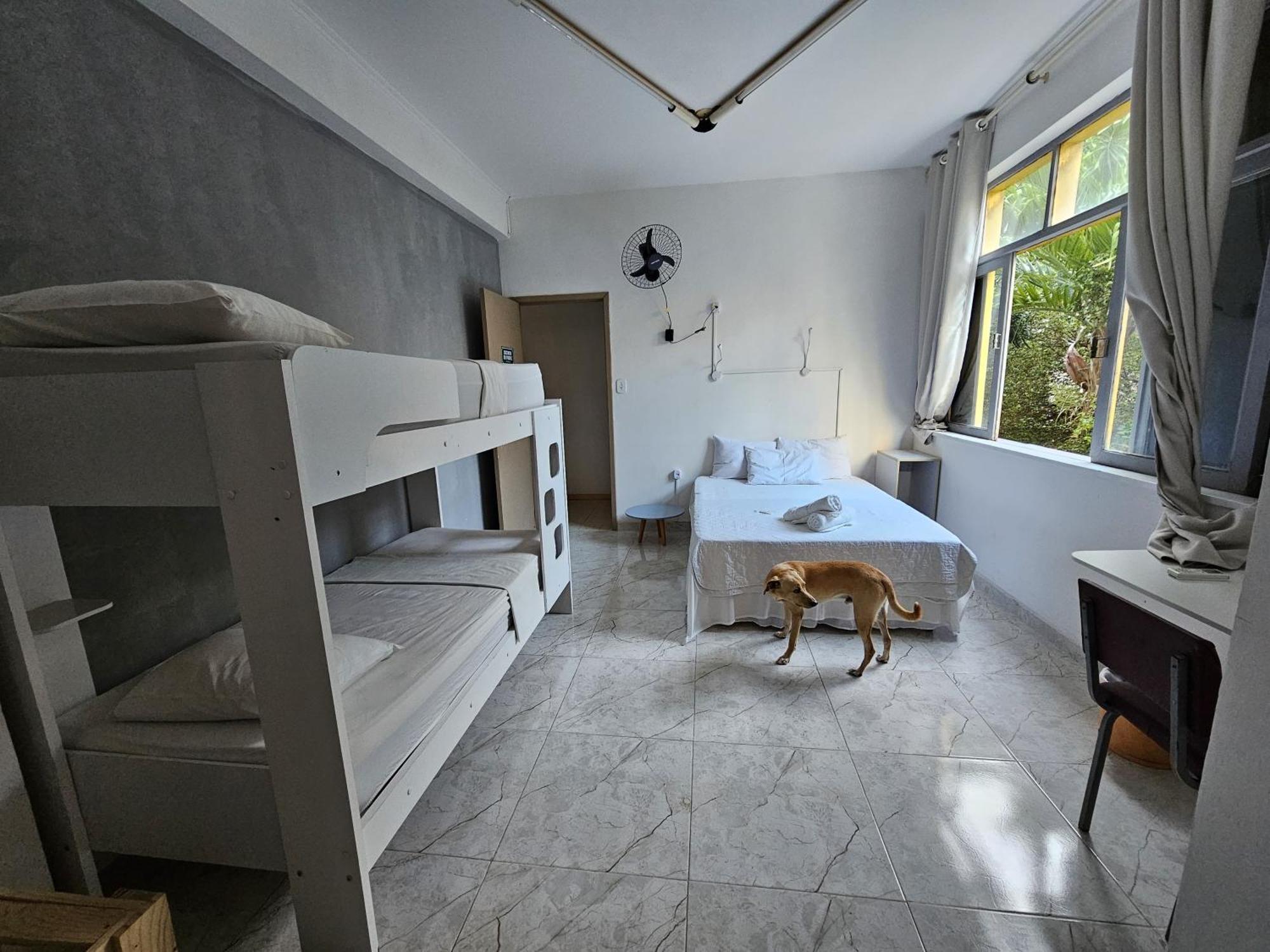 Nomads Hostel Multicultural & Coworking 萨尔瓦多 外观 照片